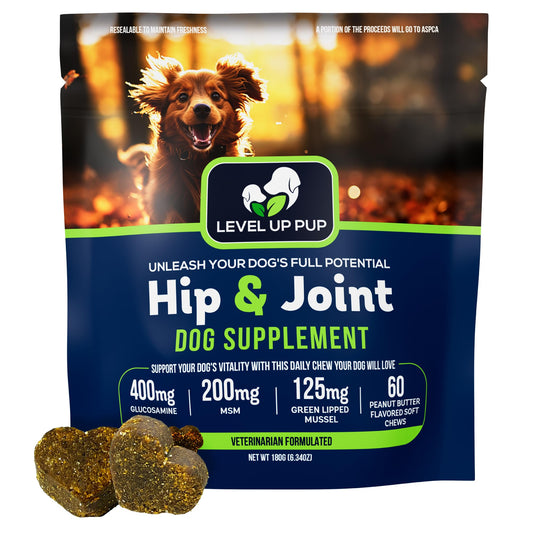 Level Up Pup Dog Hip & Joint Supplement | Advanced Inflammation & Pain Relief with Glucosamine Chondroitin MSM Hyaluronic Acid Green Lipped Mussel Turmeric and Vitamin E. 60 Peanut Butter Chews
