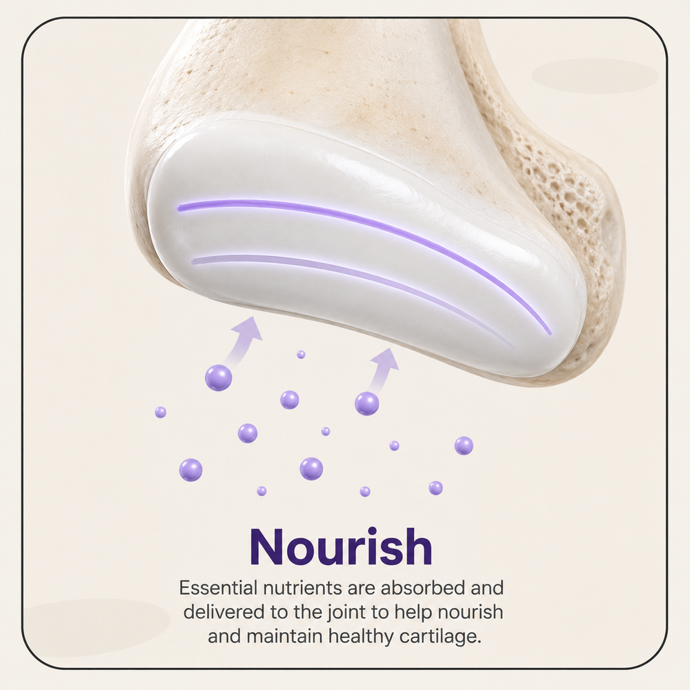 Nourish pillar illustration