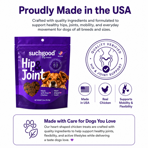Hip and Joint Dog Treats 70 count